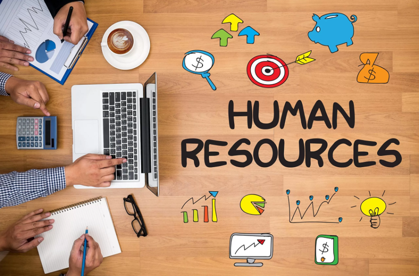  3 Ways to Boost HR Software Systems in Your Business